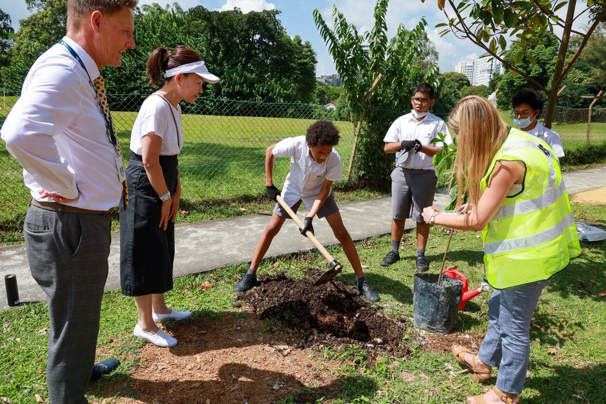 doverct's tweet image. 50 Primary and 50 Secondary DCIS students planted 50 trees in front of the school under the guidance of @nparksbuzz and with the support of West Coast GRC MP, Rachel Ong and our leadership team as part of the #OneMillionTreesSG movement. #DCISsg #DoverCourtFifty #ClimateChangeSG
