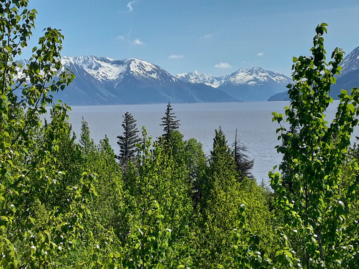 TruthYujin's tweet image. 