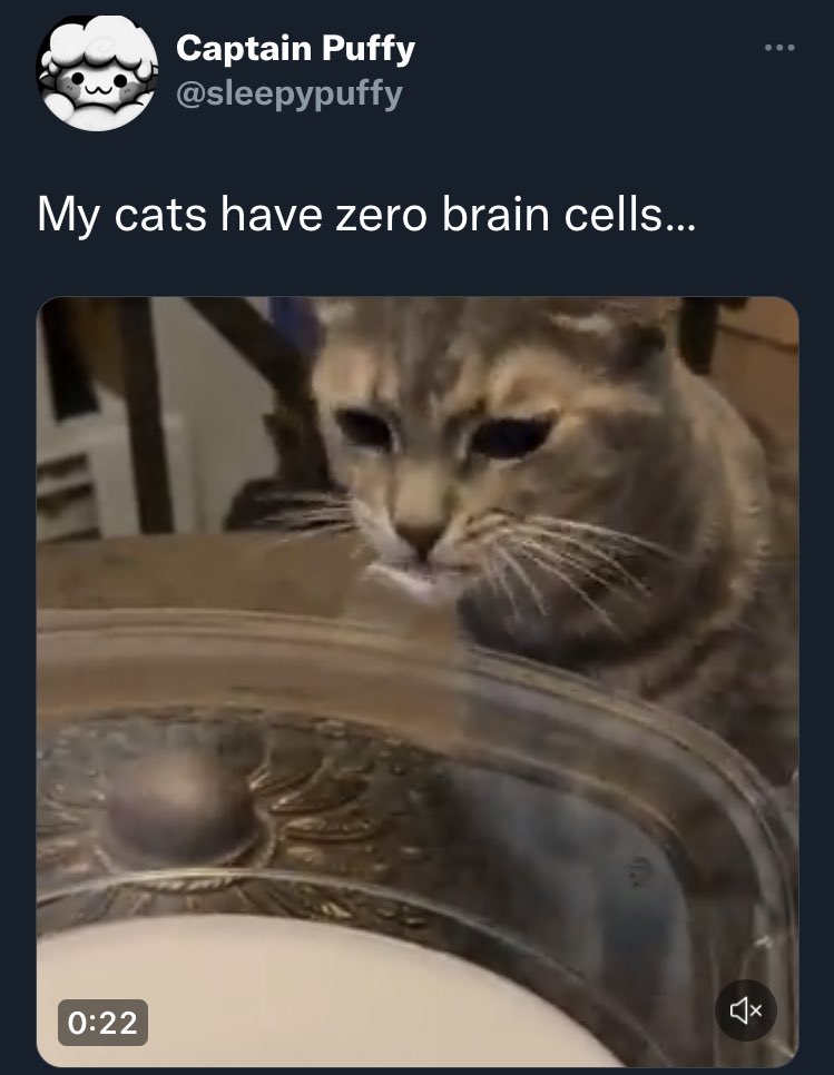 Captain Puffy Updates tweet media