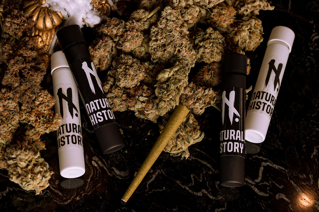 _NaturalHistory's tweet image. Are you more of a sativa or an indica? 

No matter your preferences, there's a Jeffrey to fit your vibe. 

NEW indica Jeffrey blunts coming in at 30.6% THC

photo: @mintcaptures