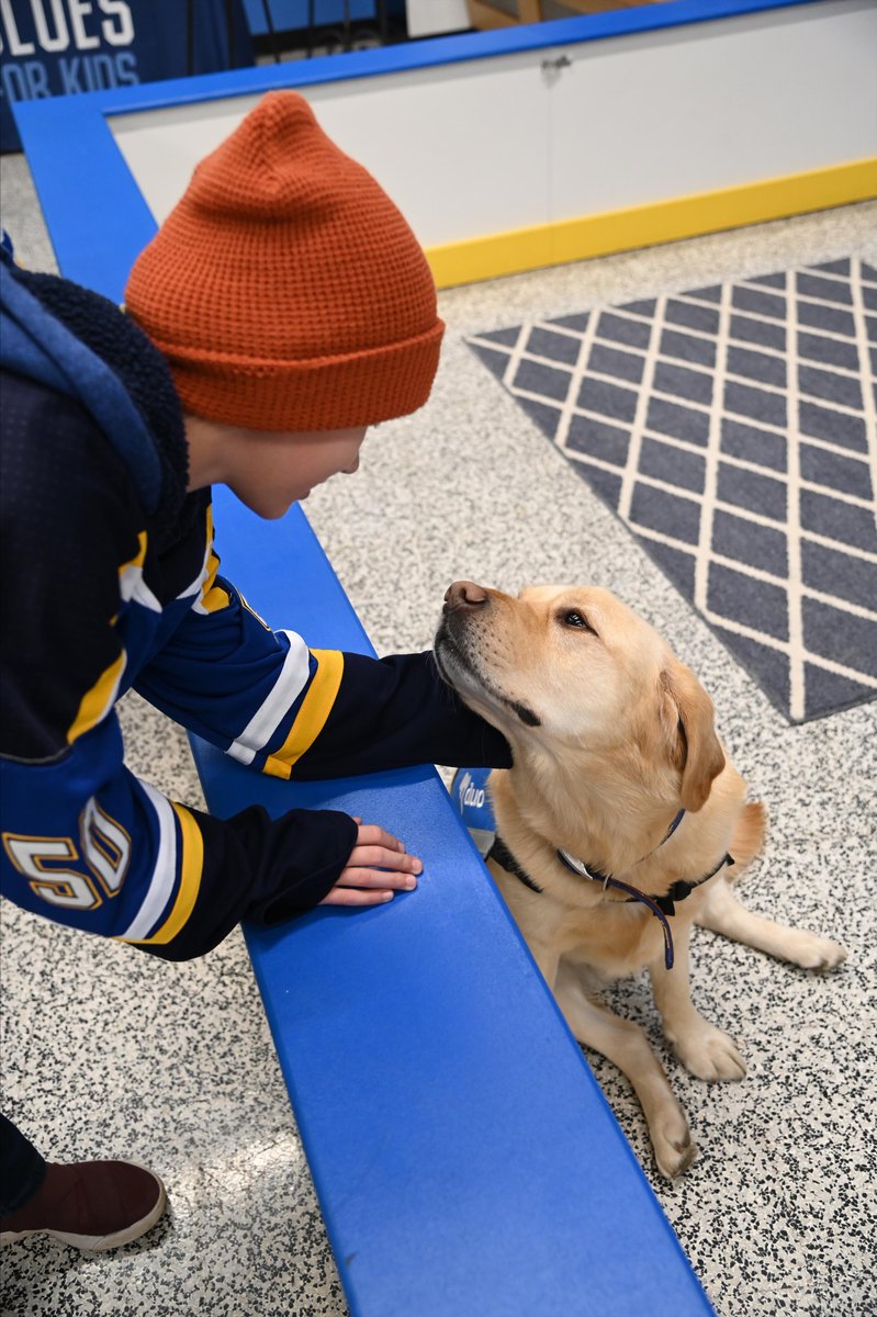 NHL's tweet photo. POV: You're petting a very, very good boy 🐶 https://t.co/UW6DUzJoHn