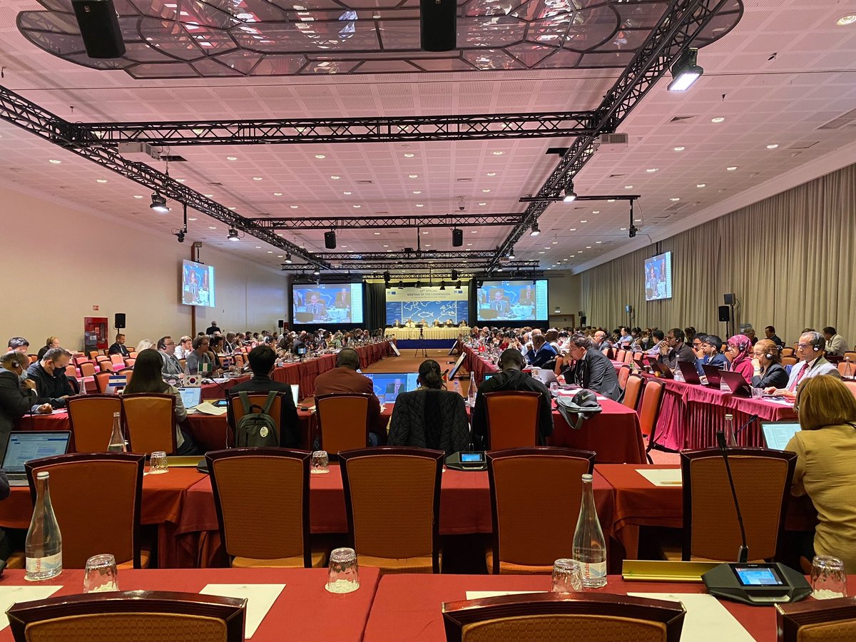 sharkproject's tweet photo. (1/2) #ICCAT23 is over - read our joint closing statement  https://t.co/FQowlAl2Q8

Conservation measures for #shortfin mako🦈 extended to South Atlantic! This marks a huge achievement for sharks by cutting landings by almost half. https://t.co/nm6TtsOY9C