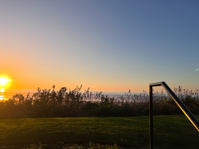 End of Season Specials and Harvest Recap! - mailchi.mp/7d93226bcc5d/e…