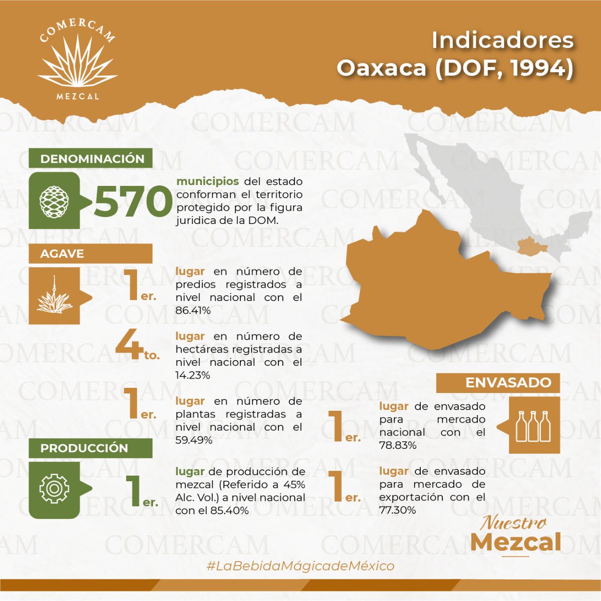𝑵𝑼𝑬𝑺𝑻𝑹𝑶 𝑴𝑬𝒁𝑪𝑨𝑳
Estos son los indicadores del 2021 de Oaxaca en la cadena productiva Maguey-Mezcal.

#DenominacionDeOrigenMezcal #SigamosCreciendoJuntos #Mezcal #NuestroMezcal #SabíasQue  #Oaxaca #LaBebidaMágicaDeMéxico #OaxacaMezcal #MezcalOaxaqueño #MezcalDeOaxaca