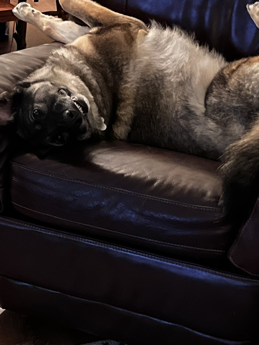 Mrs. Hill tweet media