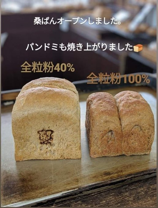 桑ぱん 白神こだま酵母 あじわい全粒粉のパン屋 三重県桑名市
