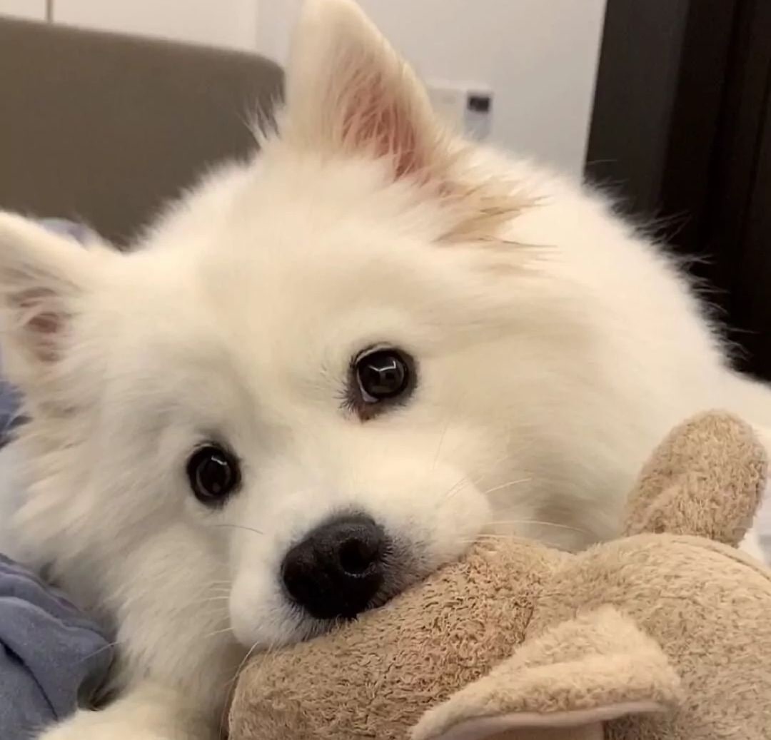 Not every day is beautiful, but every day I will be waiting for you🥰