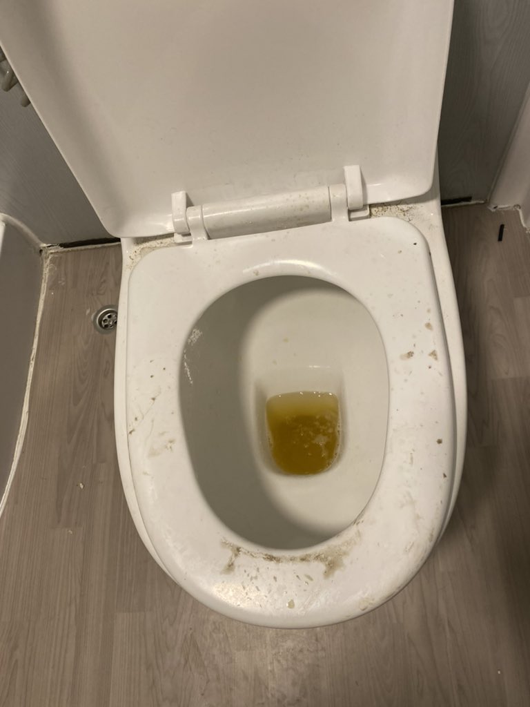 DonnieDoesWorld's tweet photo. Finally got checked into our fan village cabin:
- 1 bed instead of 2
- someone else’s piss in toilet
- toilet doesn’t flush
#thefyrerises #werehavingfun https://t.co/m8IBMq4WG2