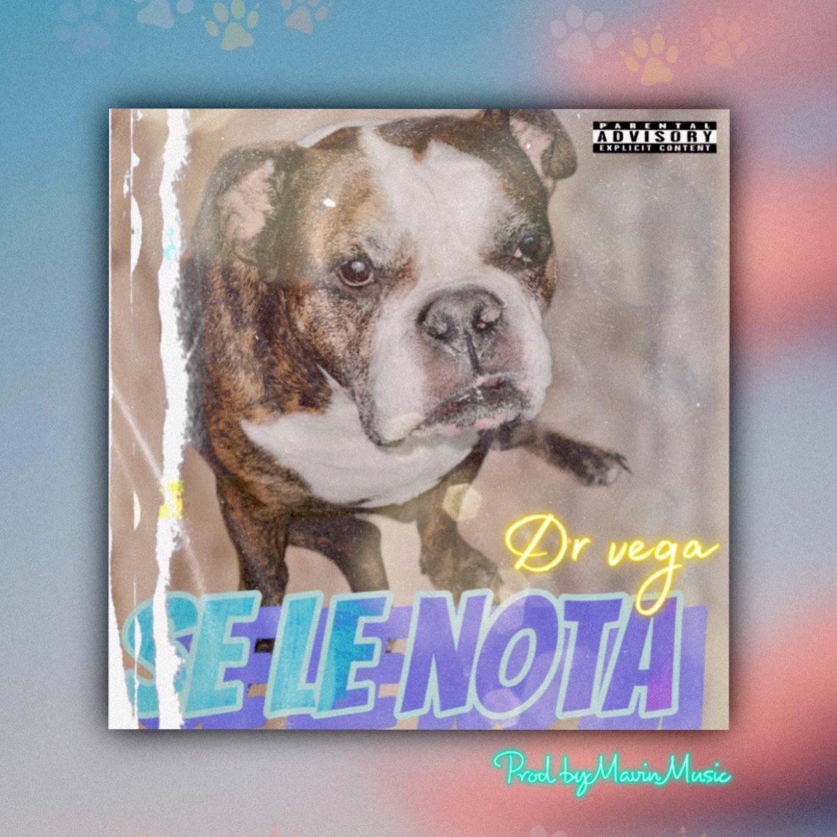 alertamusic's tweet photo. Coming Soon 🔥🔥🌎🌎
El artista Puertorriqueño @DrVega83 está de regreso con el tema #SeLeNota, esperalo pronto en todas las plataformas/ @RaulCastanaza @olgasolano15 @skymusicgroup @MANUELMENA_SV @elarcaurbano @BerlySica_ @LRMusica_ @PaperRoomMx @lanotalminuto @playpop_music https://t.co/2siHX7R6d0
