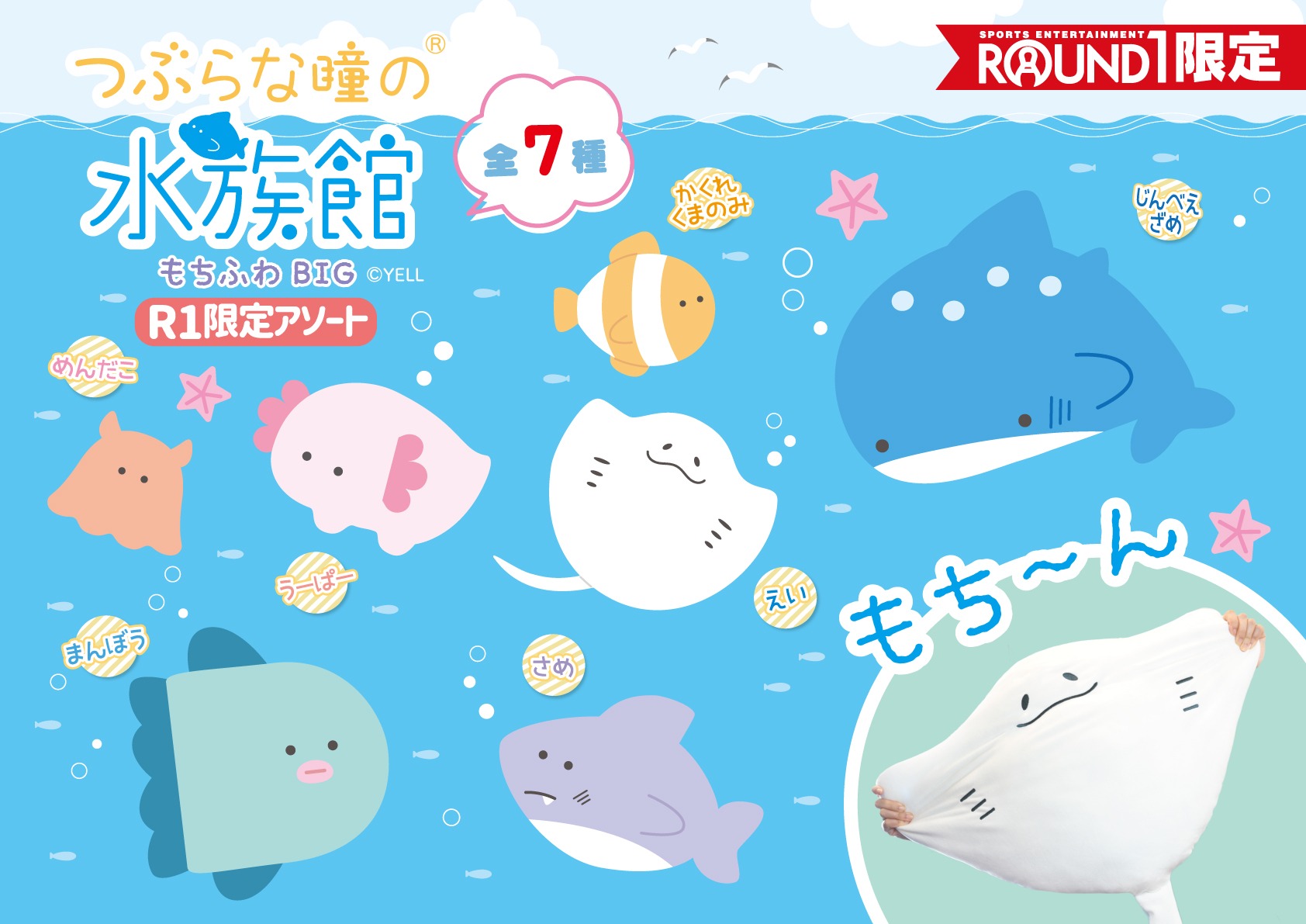 Round1アミューズメント 公式 おはよう もち ん 本日もよろしくお願い致します さて 12月に久しぶりに 特大サイズな つぶらな瞳の水族館 が登場予定です 新キャラや新カラーもいるのでお楽しみに T Co Biw3kbedhu Twitter