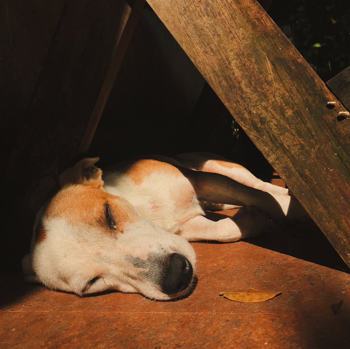 AlvinDre's tweet photo. rise and shine sleepy head 🌞 https://t.co/TinhWLqOjL