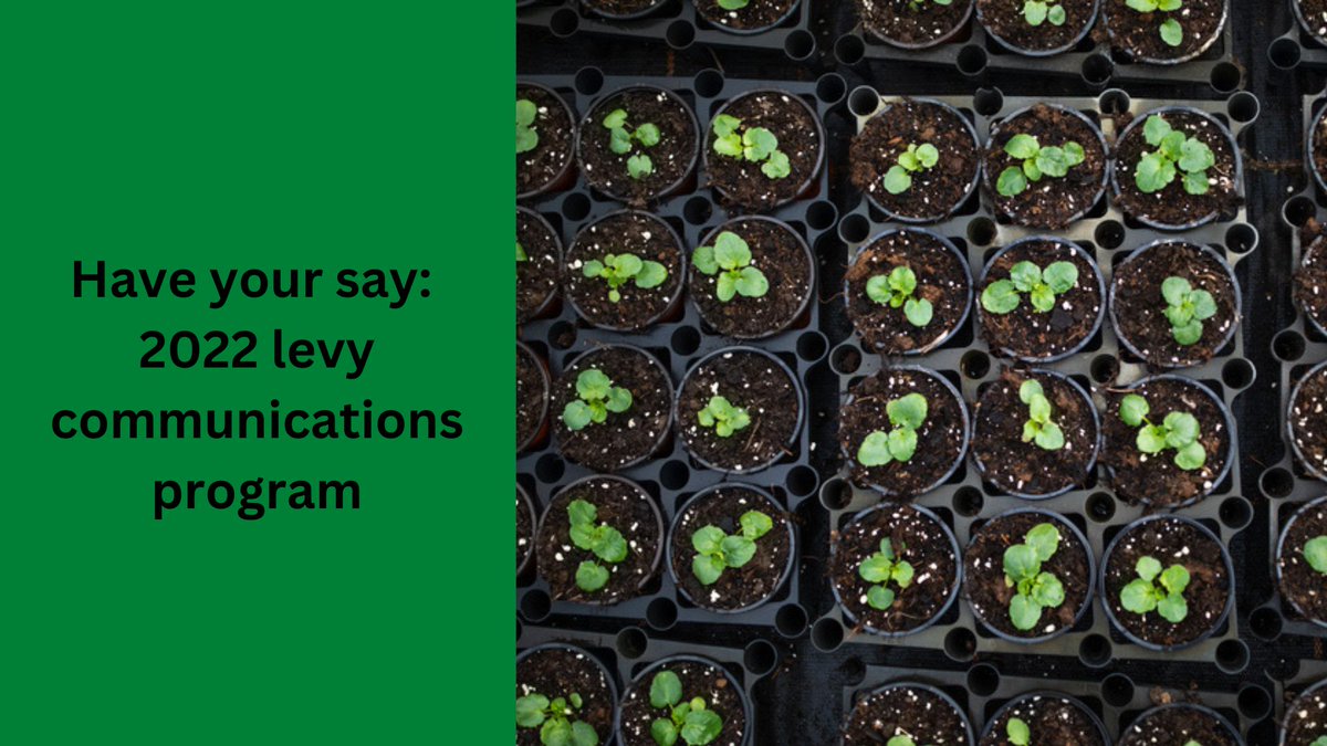 Our ‘Nursery industry communications program’ (NY18001) is coming to an end and we want your feedback. Please complete a short online survey to help evaluate and provide insights on the program. bit.ly/3SRPNED @Hort_Au #plantnursery #horticulture
