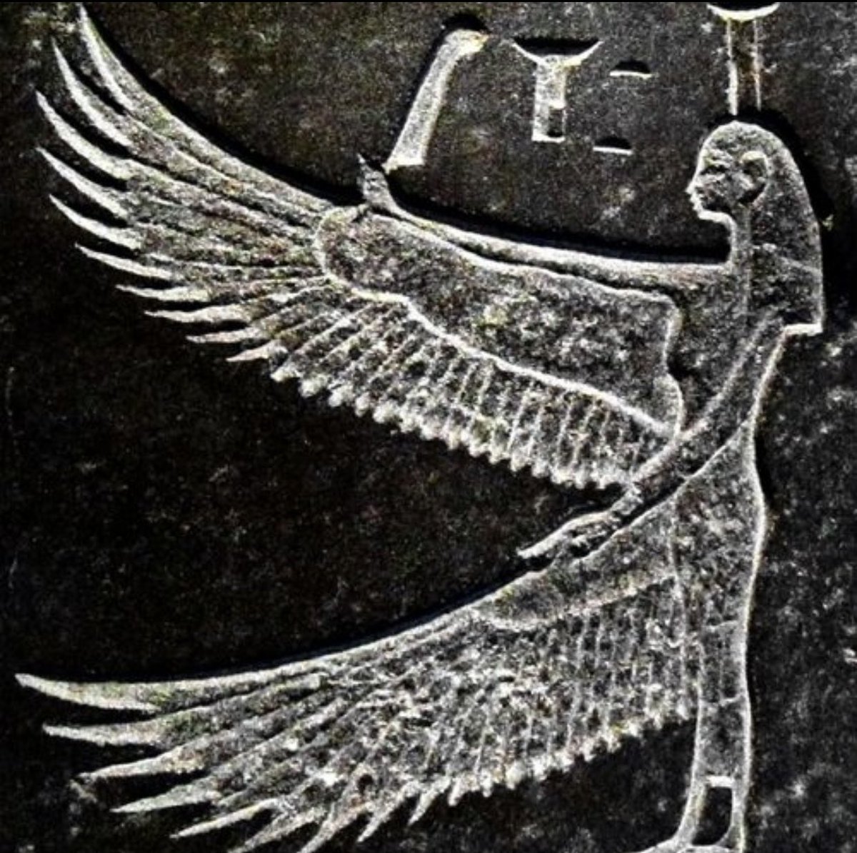 MaMa Khem 13™️ tweet media