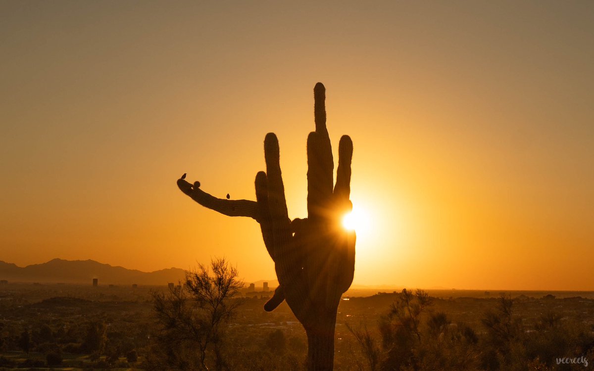 VeeReels's tweet photo. Arizona sunsets are on another level 🏜️ #desert #photography #arizona #scottsdale #sunset https://t.co/kNg6YgonKz