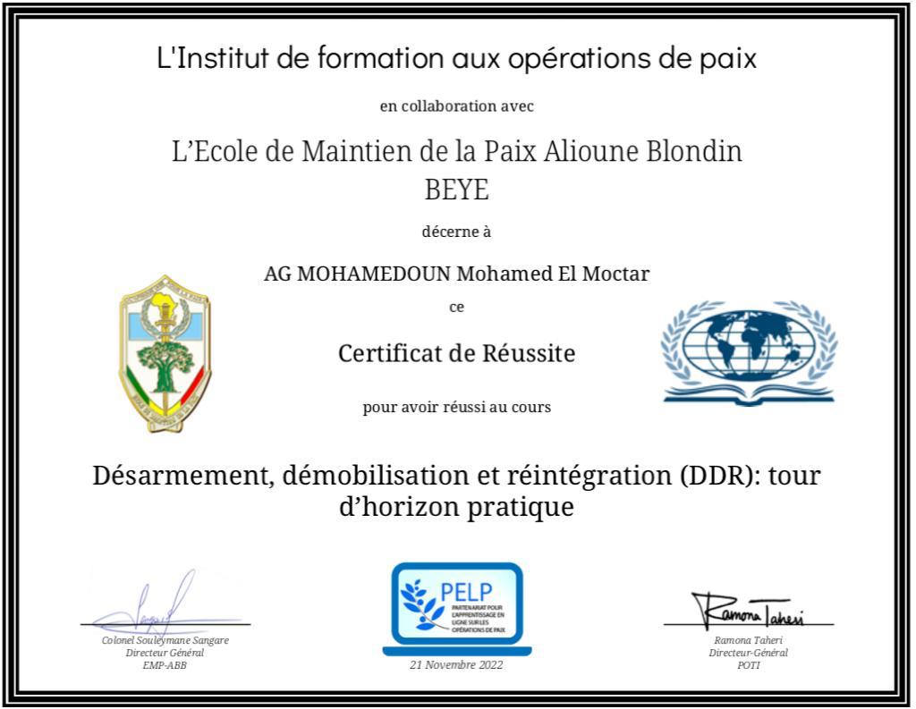 HamelAnsar1's tweet photo. Merci à POTI et à l'EMP-ABB pour l'accès à ce cours très riche qui fait un tour d'horizon des différentes expériences du DDR à travers le monde. Malgré mon niveau avancé dans ce domaine, j'ai encore appris des nouvelles choses. https://t.co/duXB8fsOAN