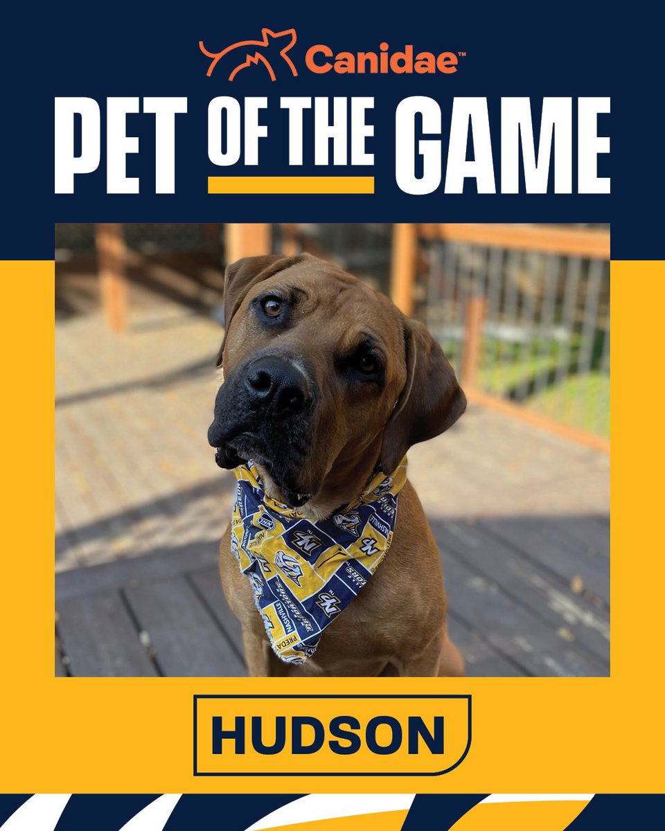 PredsFoundation's tweet photo. We love your Preds Pride, Hudson! 

Congrats to tonight’s @CanidaePetFood Pet of the Game! https://t.co/6fEw4Jfnyb
