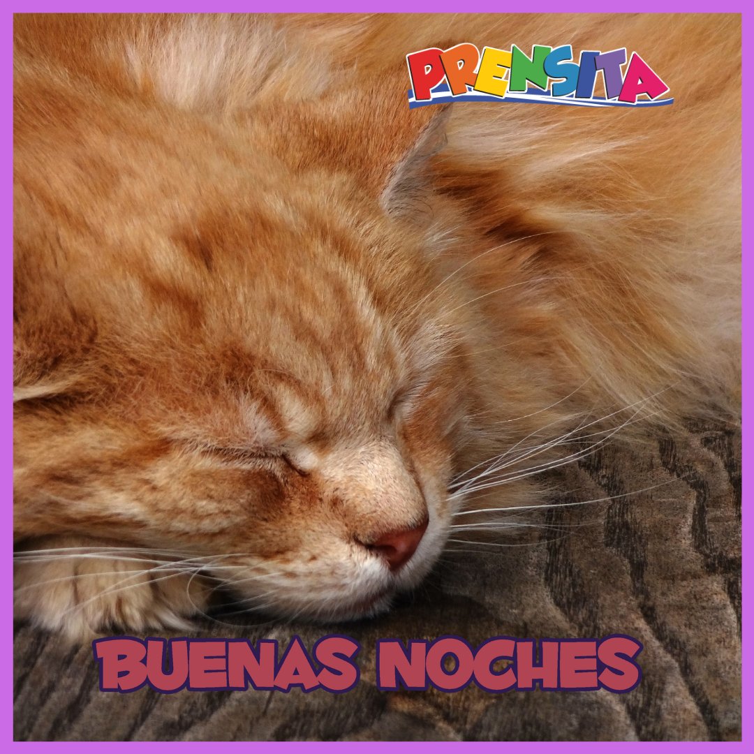 Prensita on Twitter: Prensita on Twitter: