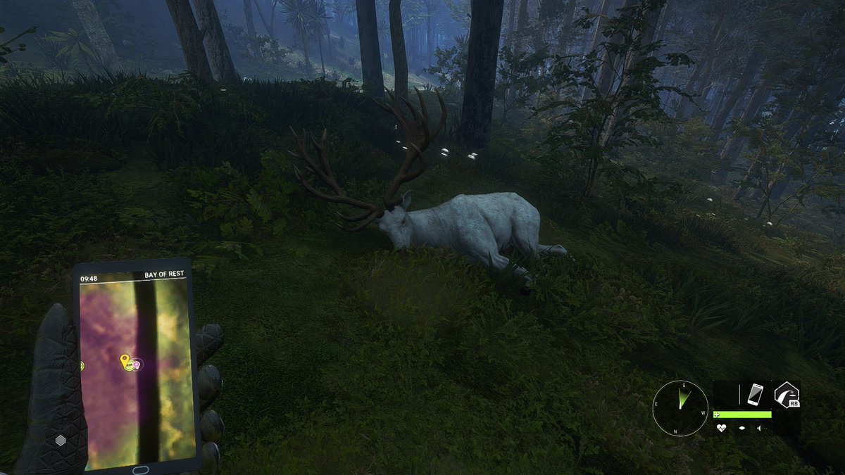 itzBREN128's tweet image. Got an albino lvl 7 red deer on my first day of the grind make sure to check out my streams got this one live over on twitch… twitch.tv/rtg_bren