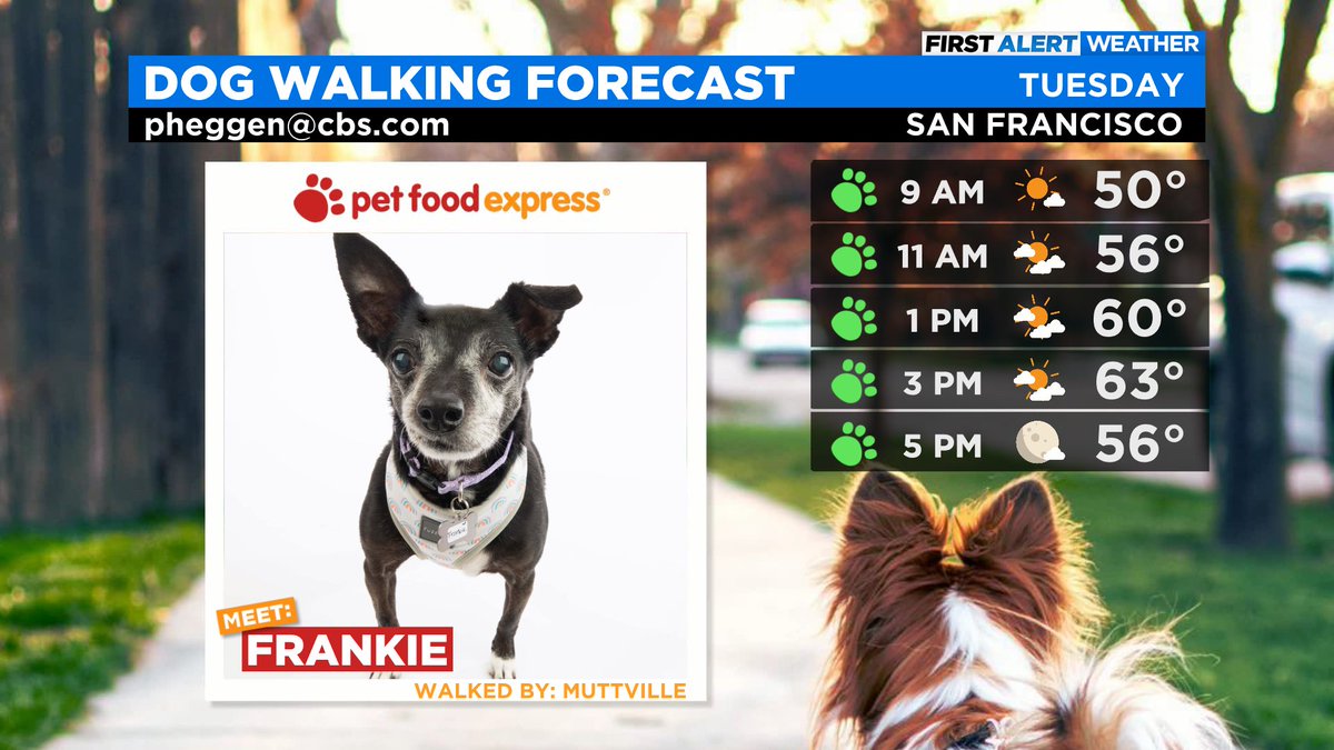 Paul Heggen @paulkpix.bsky.social tweet media