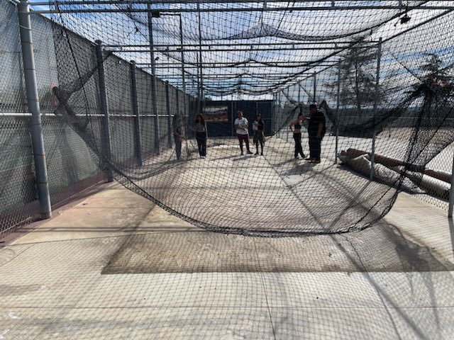 SoftballLh's tweet photo. Started our cage renovation today! Stripped the old turf out and cut out our new section and got them in place. Next step tomorrow is Glue, sand and turf pellets! https://t.co/CpZZpZXcaL