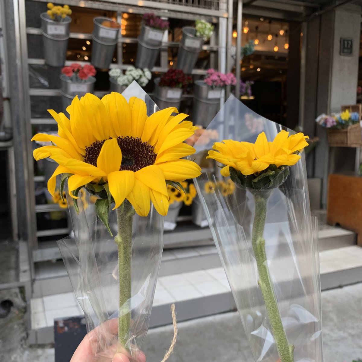 천러 생일에 예쁜 꽃을 들고 다닐 수 있어서 넘 행복하다🌻💜

#Stay_by_yourside_fovever