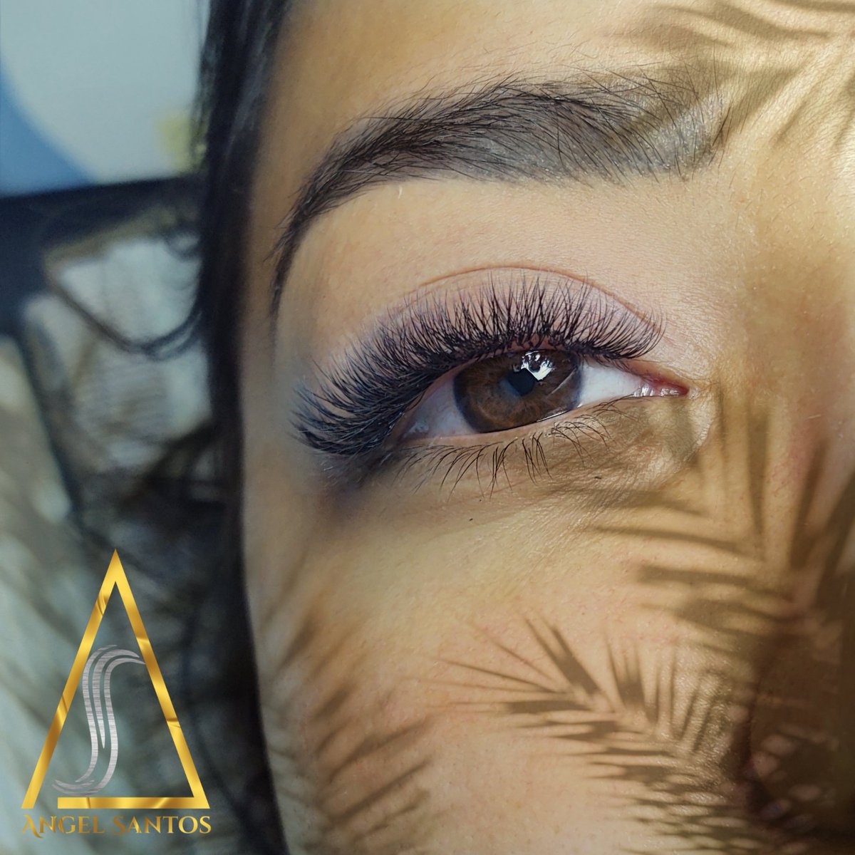 angelsantosstu's tweet photo. Qye bonito
#extensionesdepestañas #lashartist #lashtrainer #top100lashes #toplashmakers #lashgoals #lashworld #mexico #lashtech #lastechnician #actualizate #cursosyactualizaciones #tecnicaclasica #volumenruso #megavolume https://t.co/cMZg9VxAXD