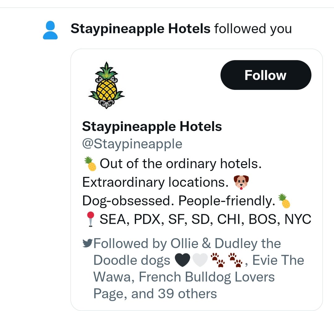 💫🏹 Archer_Im_a_Dog 💘🐾🇨🇦 ❤️🧡💛💚💙💜 tweet media