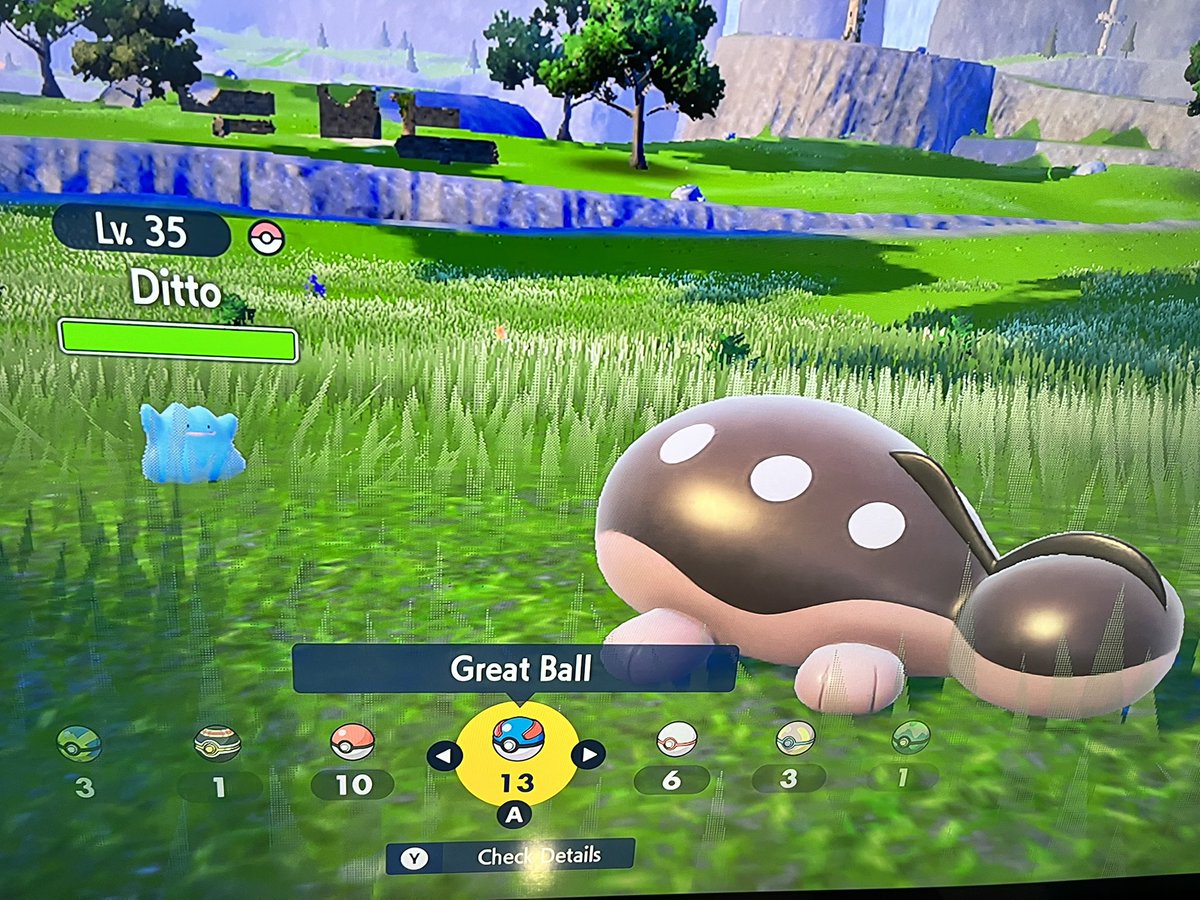 Kayti with the full odds shiny ditto running into what appeared to be a regular jumpluff