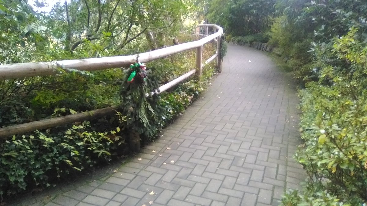 yyjObserver's tweet photo. Sunken gardens. Christmas Prep. @butchartgardens #yyj. https://t.co/lHGk8ZXScQ