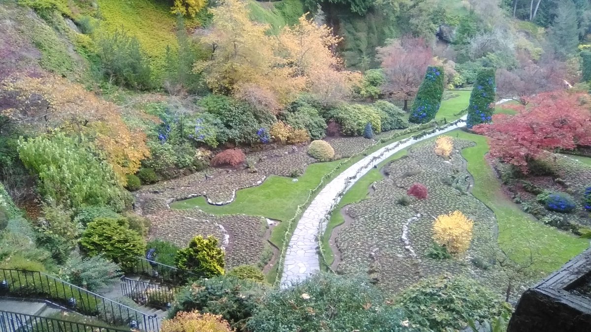yyjObserver's tweet photo. Christmas colours. @butchartgardens #yyj. https://t.co/oFDLDTjbs6