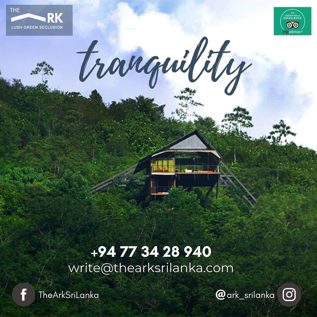 TheArk12100's tweet photo. Feel the warmth, privacy and tranquility served exclusively for your group
#Secluded #twoorsix #yourownplace #holidaysun #warmsunshine #getawayfromstress #warmhospitality #sereneregreenseclusion 
write@thearksrilanka.com
+94 773 428 940
@TheArkSriLanka
@ark_srilanka https://t.co/3ZIZJjaUKI