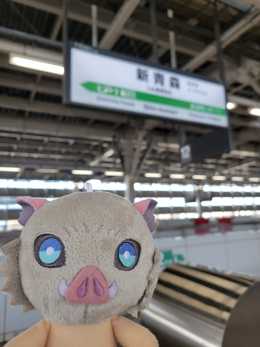 tempuradonguri's tweet photo. 新青森駅にて、地域連携ICカードのAOPASS(アオパス)を購入しました!
新青森駅2階のあおもり観光情報センターにて購入できますよ✨
#青森市
#新青森駅
#地域連携ICカード
#AOPASS
#おやぷん https://t.co/WzvQhcCus4