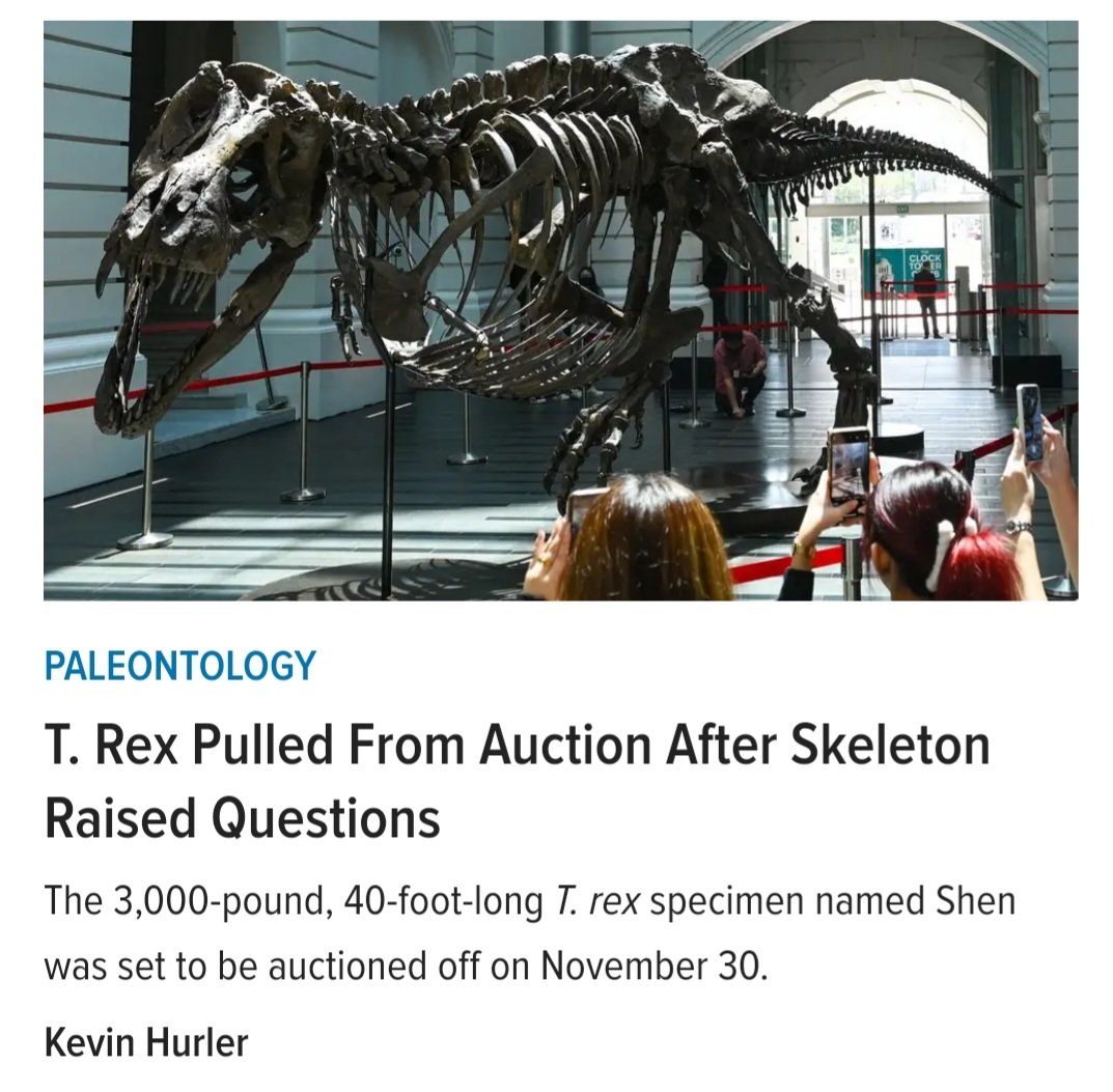 usedwigs's tweet image. "Hey where did my skin go? Why would you do this to me?? Wait, am I dead?!!"