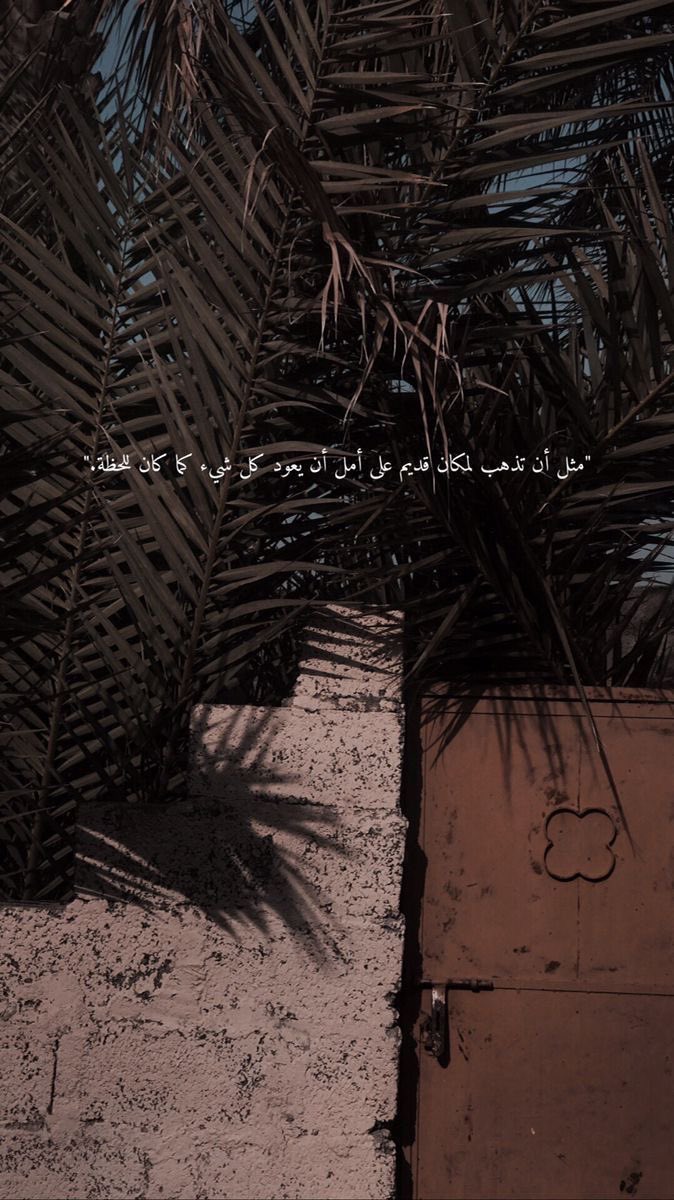 aniqa60's tweet photo. #اقتباسات_سنابيه

مثل أن تذهب إلى مكان قديم على أمل أن يعود كل شيء كما كانَ للحظة..🤍 https://t.co/t7pRtxN8Ox