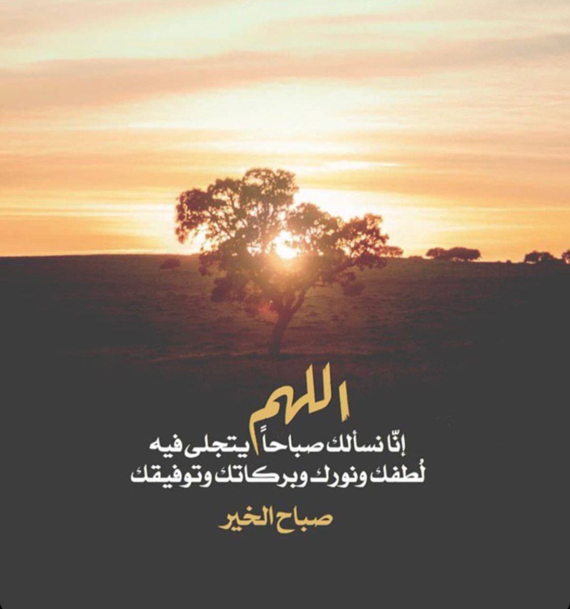 ورد جوري (@bwd54695141) on Twitter photo 