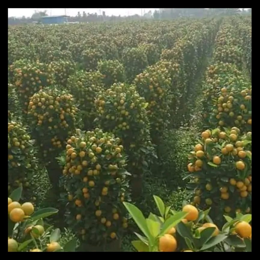 Crop Doctor/Agronomy Consultant tweet media