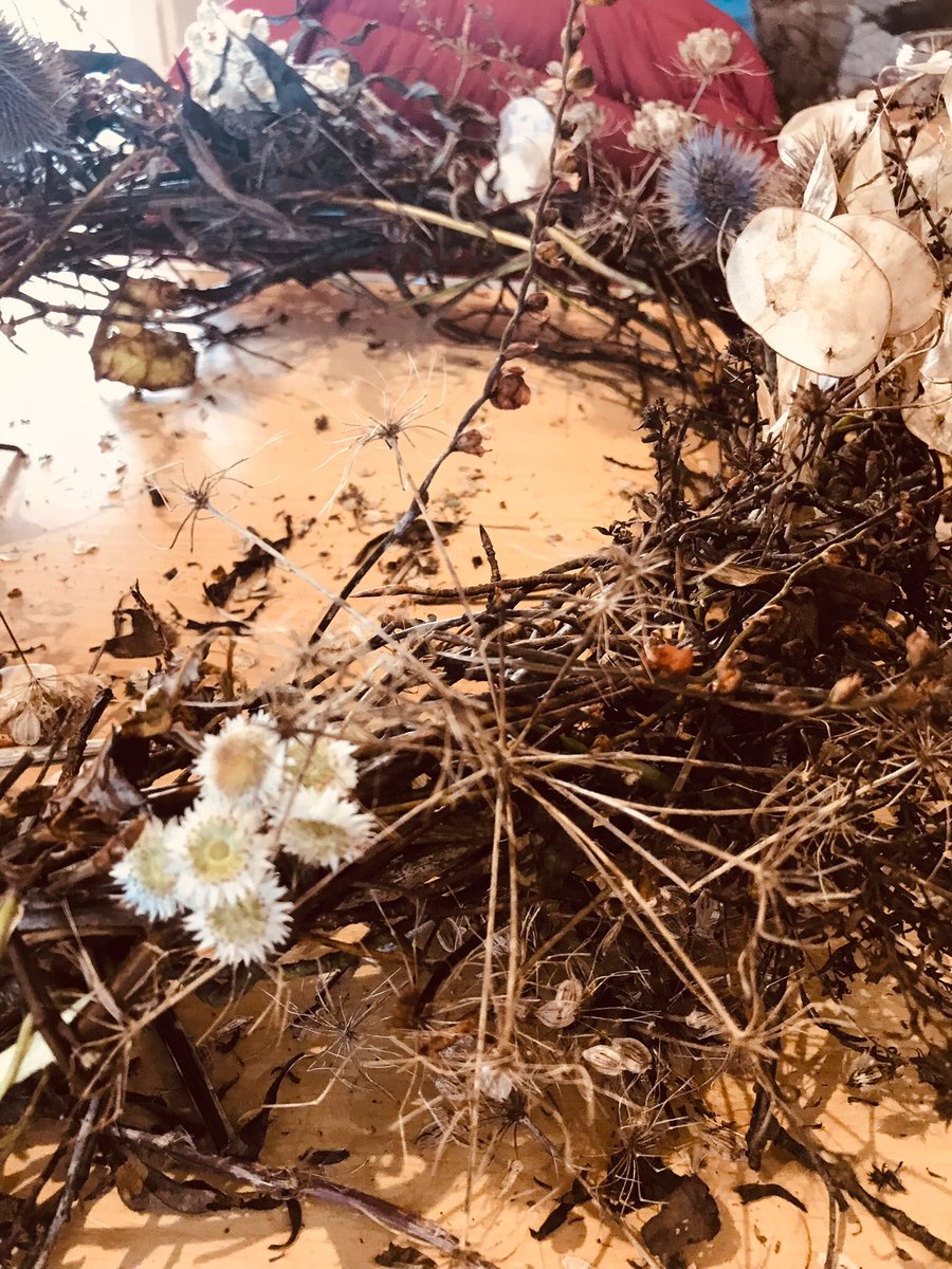 Temple Heelis tweet media