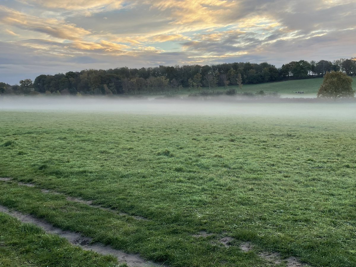 TravelWTK's tweet photo. Good Morning 🥶 #chillystart #followus #travel #touring #winter https://t.co/Hnm5VvZCfs