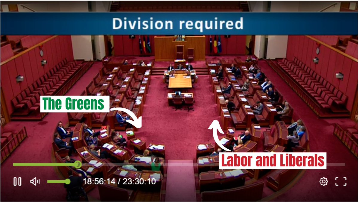 This is Labor joining the Liberals to vote against the Greens amendment to raise the rate of income support to $88.

I've said it a thousand times and I will say it again, poverty is a political choice.