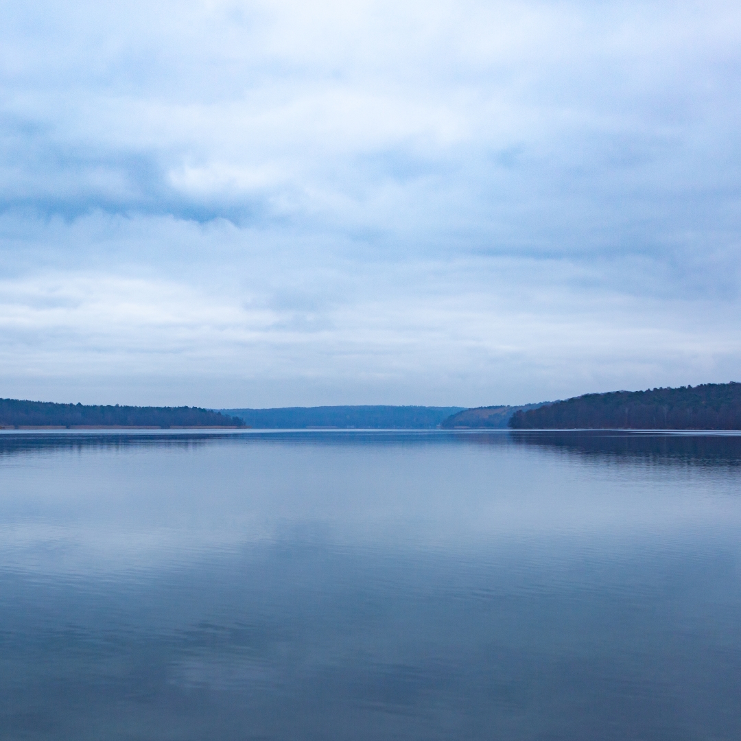 💚 Novemberblues in Brandenburg💚

📍 Werbellinsee

#nachbrandenburg