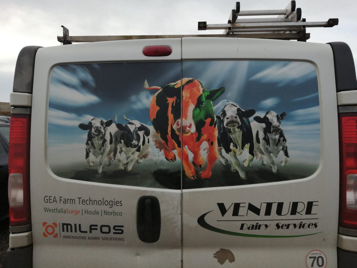 Excellent use of the natural dynamism of cows in this marketing #powercow <a href="/beefanddairy/">Beef & Dairy Network</a>