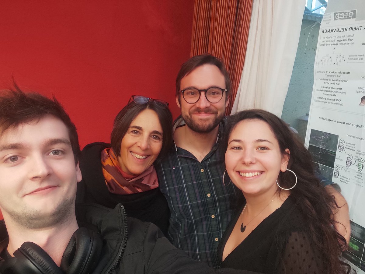 LydvinaB's tweet image. End of three amazing scientific days with the #ReDevNeural 🔬🤓 Nice talks, nice discussions, nice people and nice beers ! 🍻🍻 Thank you @CristinaPujades for the invitation 😍See you next year in Santander 🏖️