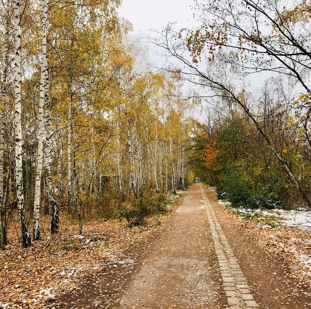 underagreysky's tweet photo. Frosty underfoot for a run along the Berlin Wall Trail + the Panke river. Eight years ago, these two lines on the map gave me the first two (very short) books with my name on them + I’m exploring them and their stories still…

#adventuresbeyondthefrontdoor #gettingthereslowly https://t.co/Guc3L8J6qP