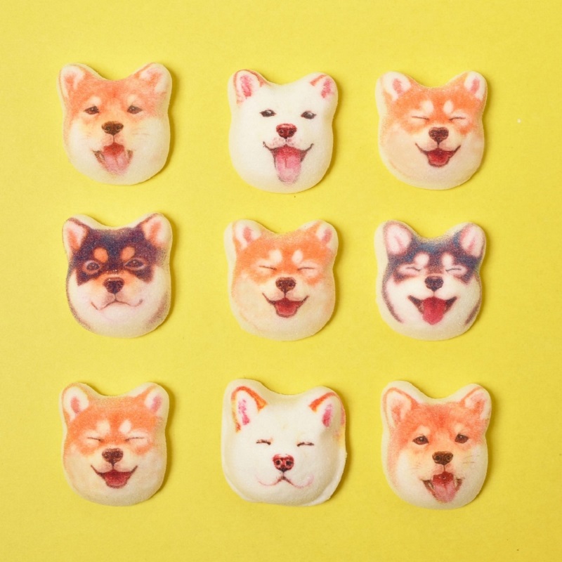 youmore_tw's tweet photo. とびきり可愛くっておいしい！
にこにこ柴犬の立体的な和風マシュマロができました🐾

思わずぷにっとしたくなる可愛さでプレゼントとしてもインパクトばっちり。もちろん自分へのごほうびにも◎

▼販売ページはこちらから
https://t.co/uIEy2rsE7L https://t.co/0Hnwt2ZhXC