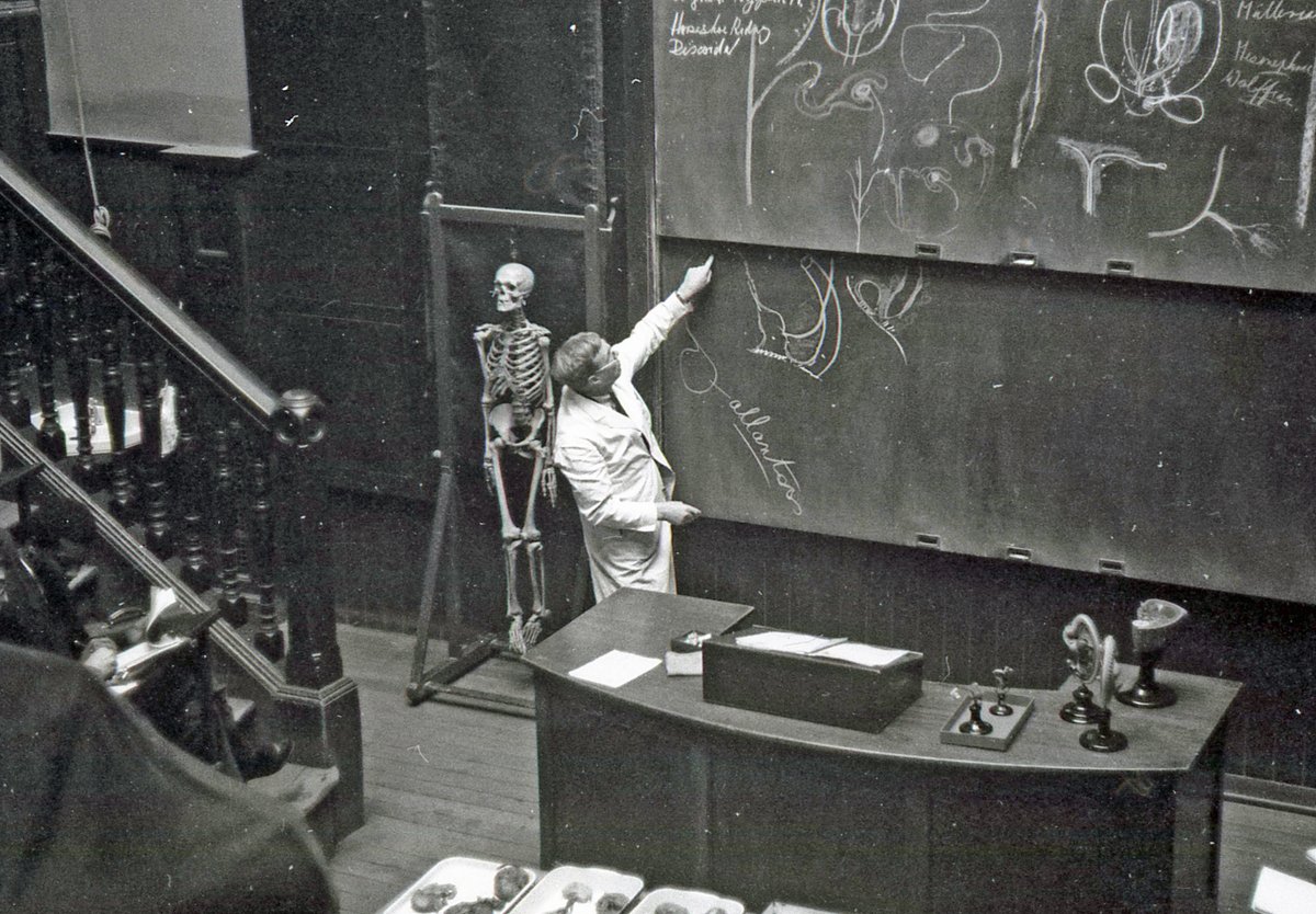 lhsaeul's tweet photo. Photograph of a lecture underway in the Anatomy Lecture Theatre at the University of Edinburgh.
Dr John Guy, c.1963 
#LHSAPhotographs https://t.co/MAtPddxxfc
