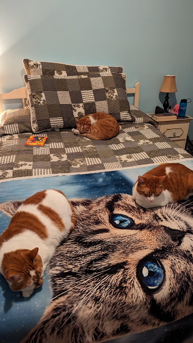 pedanticwitch's tweet photo. I guess I can't go to bed now. 🤷‍♀️ https://t.co/39W7Kq9i0T