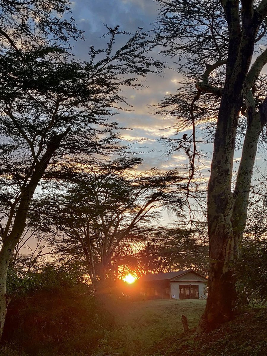 Lovely morning view 🥳🥳 Enjoying every bit of it .