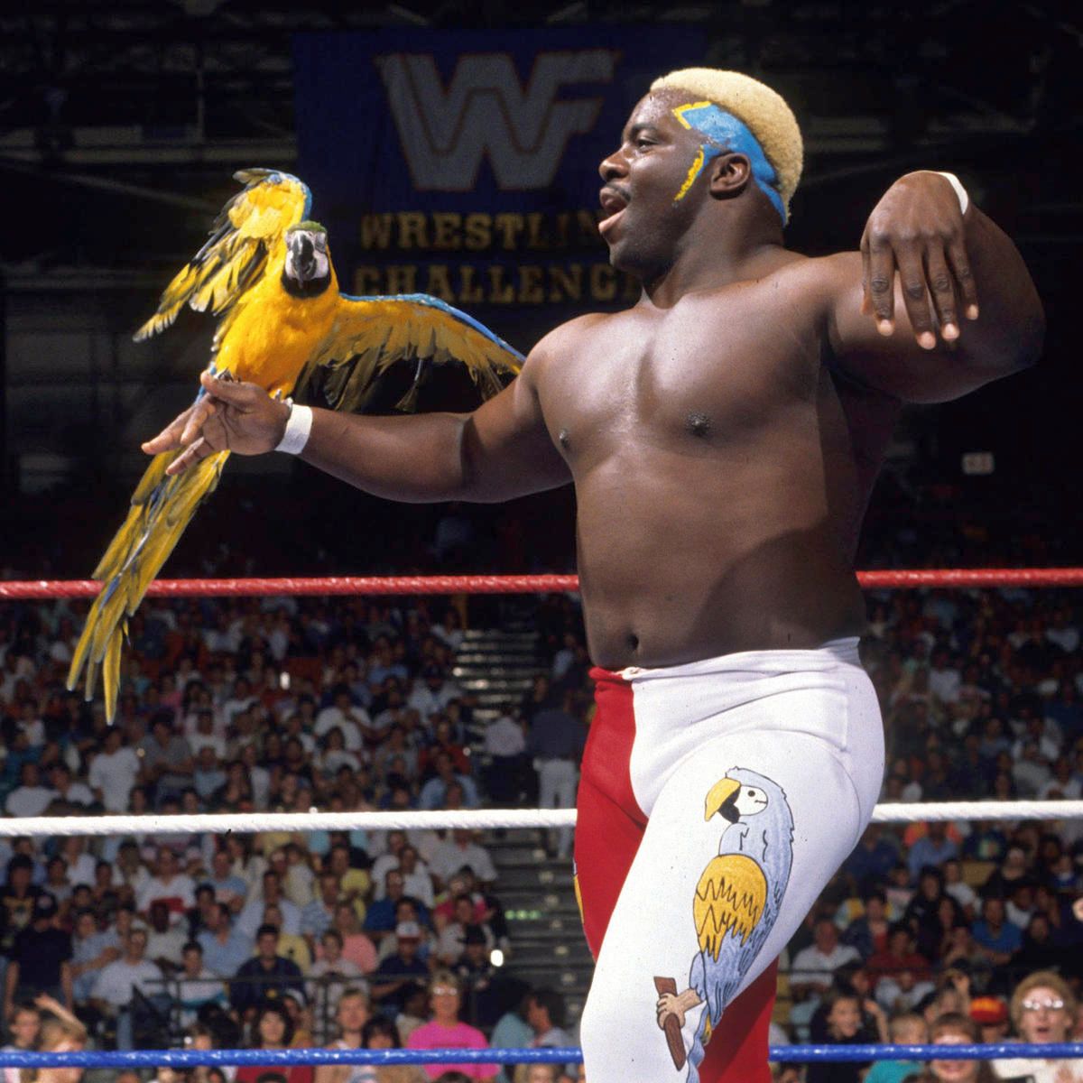 🎶 'Everybody get up, everybody get down, you'd better strut your stuff because the bird man's in town...' 🎶🦜 @wwekokobware #WWF #WWE #Wrestling #KokoBWare
