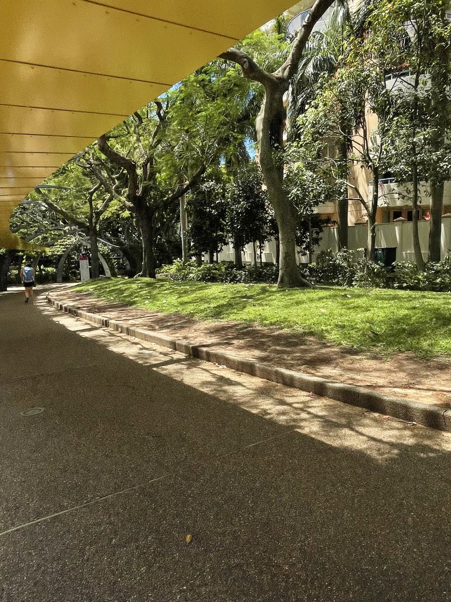 ChefColcombe's tweet image. Goodwill Bridge #Brisbane #Goldcoast #botanicgardens