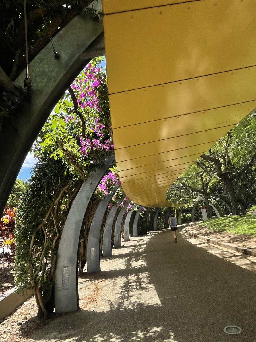 ChefColcombe's tweet image. Goodwill Bridge #Brisbane #Goldcoast #botanicgardens